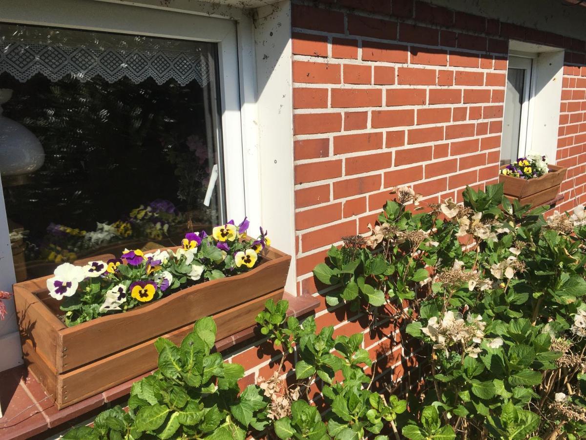 Haus Horizont * Dyksterhusen