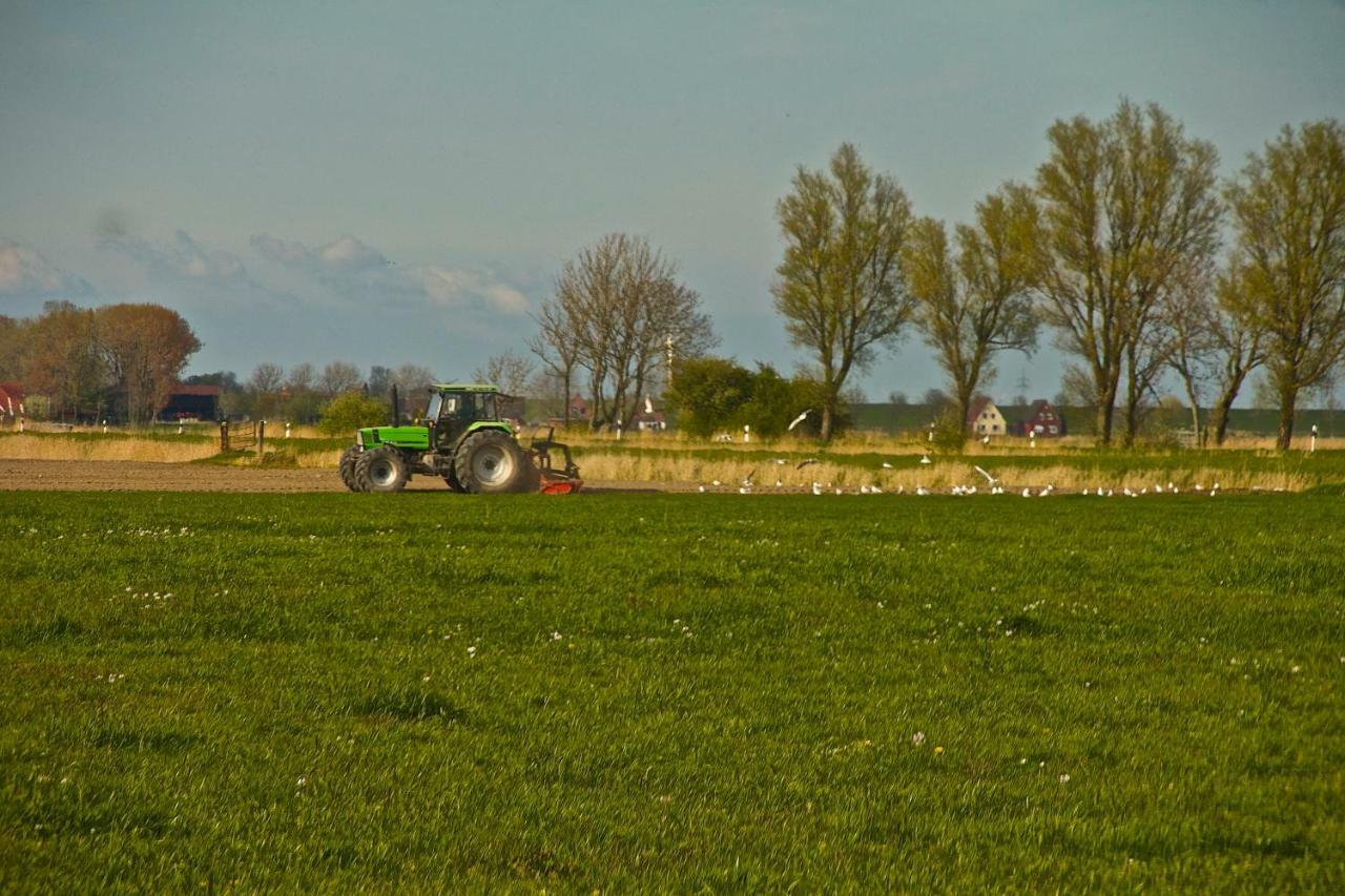 Haus Horizont * Dyksterhusen