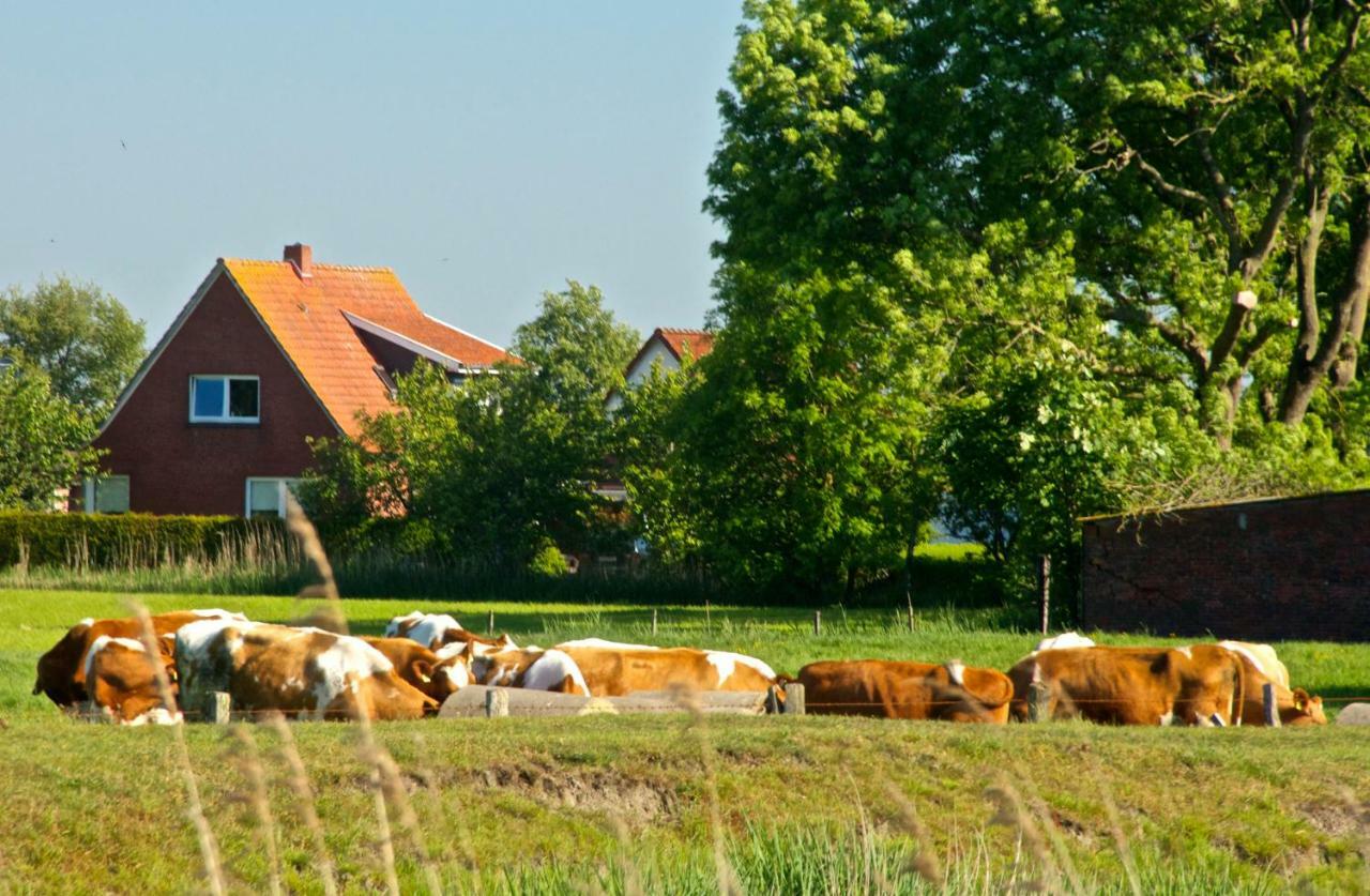 Haus Horizont Dyksterhusen